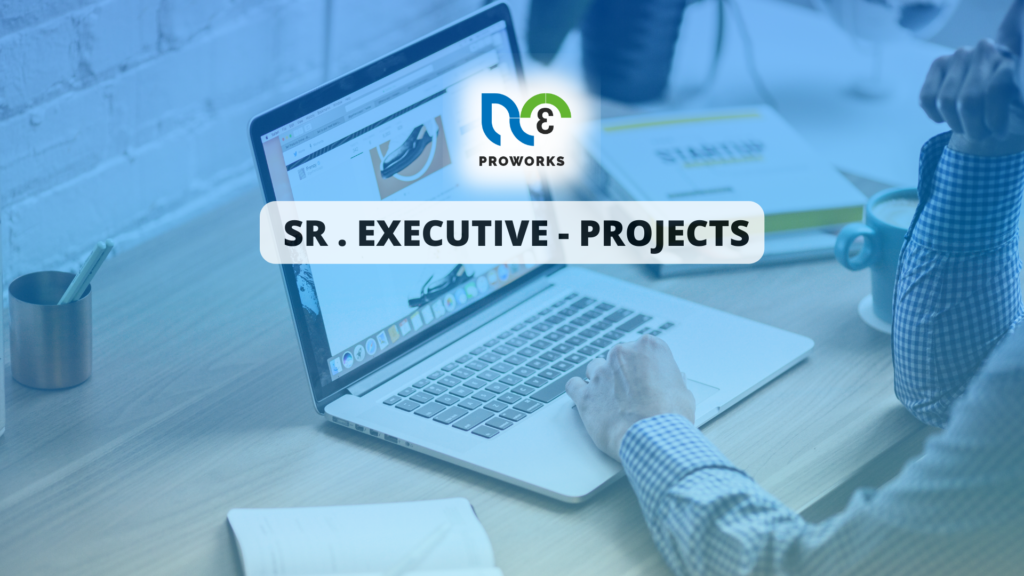 Senior Executive Projects