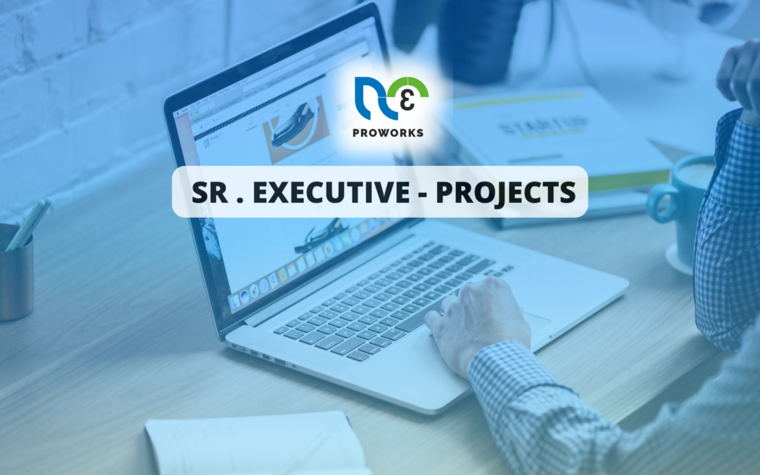 Senior Executive – Projects