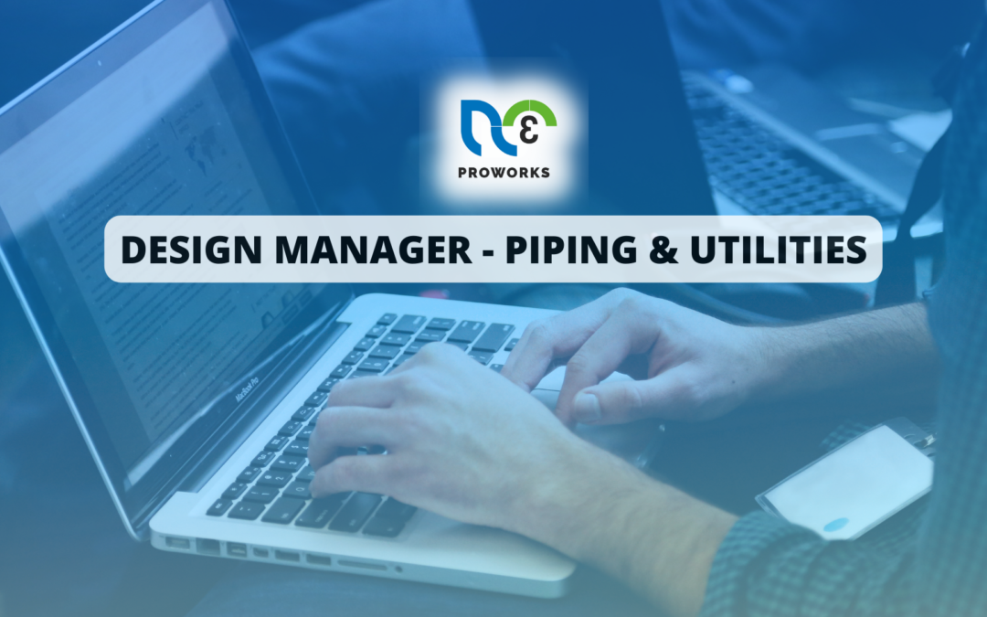 DESIGN MANAGER - PIPING & UTILITIES